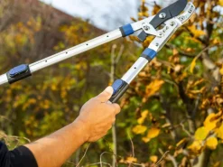 Ratschen-Amboss Astschere*LUX-TOOLS Discount