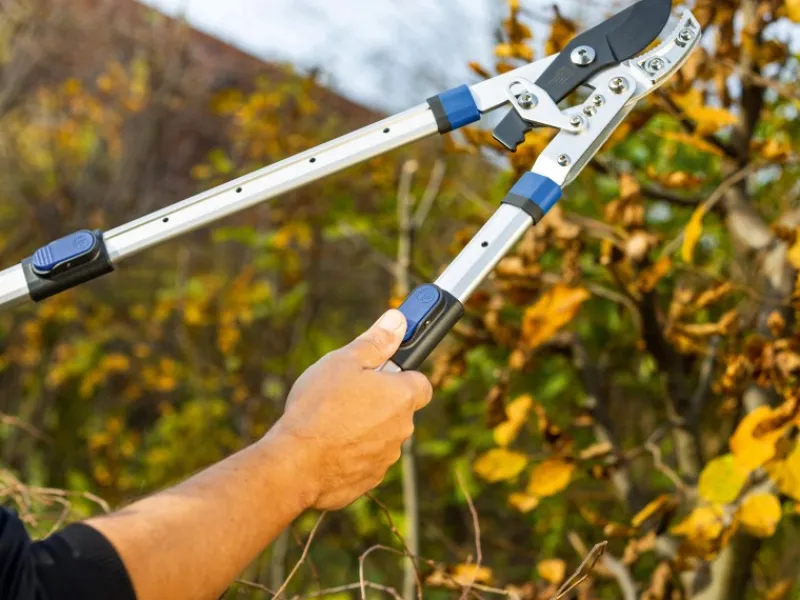 Ratschen-Amboss Astschere*LUX-TOOLS Discount