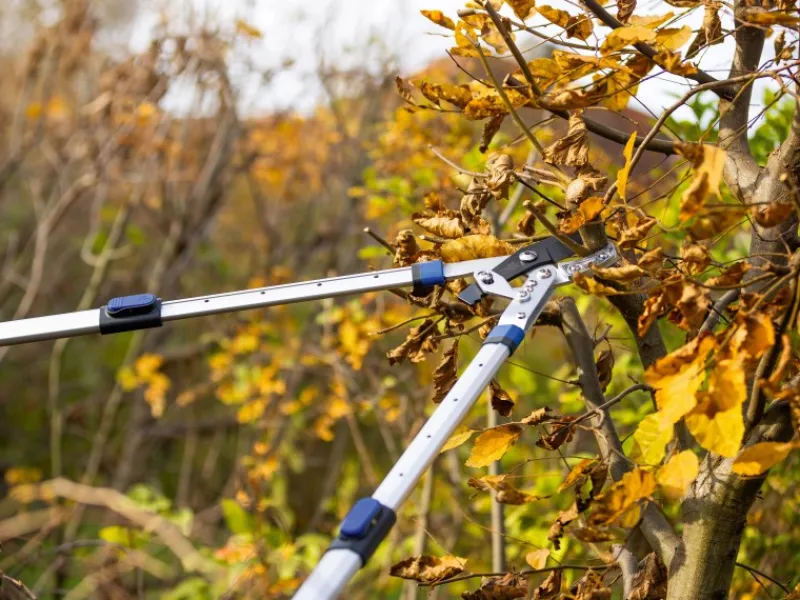 Ratschen-Amboss Astschere*LUX-TOOLS Discount