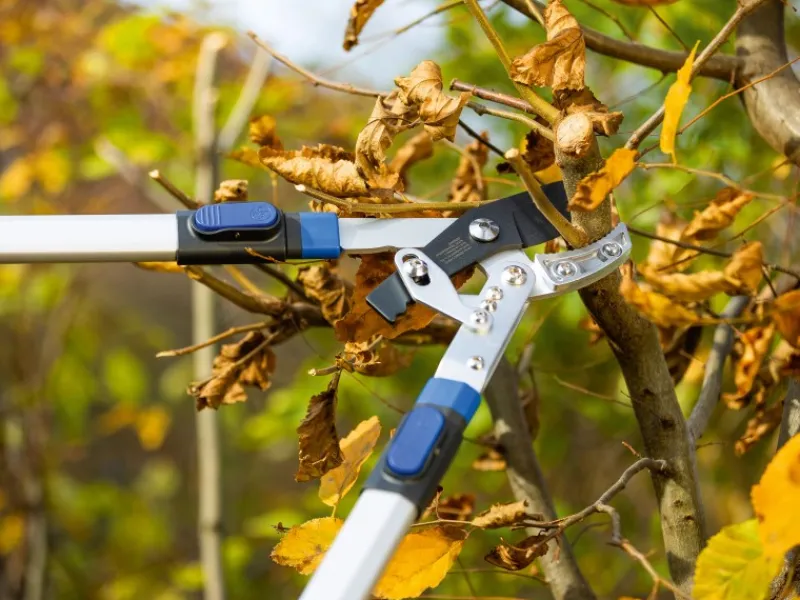 Ratschen-Amboss Astschere*LUX-TOOLS Discount