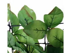 MCW Balkonsichtschutz|Balkonsichtschutz T811 Buche 300x100cm - 300x100cm Hell