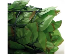 Balkonsichtschutz T811 Buche 500x100cm - 500x100cm Hell*MCW Sale