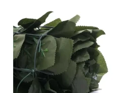 MCW Balkonsichtschutz|Balkonsichtschutz T811 Buche 300x150cm - 300x150cm Dunkel