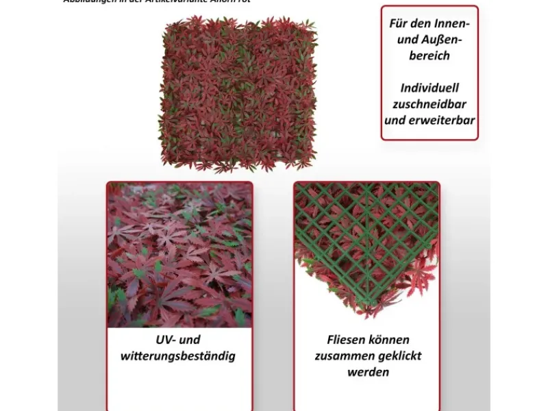 MCW Balkonsichtschutz|Wandfliese L78 - Buchs