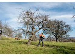 Hochentaster-Aufsatz MA-MS 25*Metabo Discount