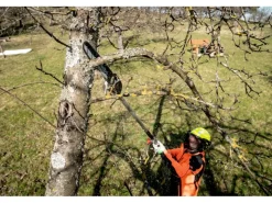 Hochentaster-Aufsatz MA-MS 25*Metabo Discount