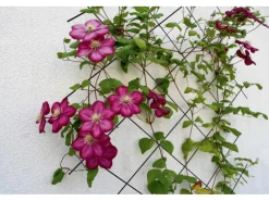 Pavillons|Metallspalier 150 cm x 45 cm