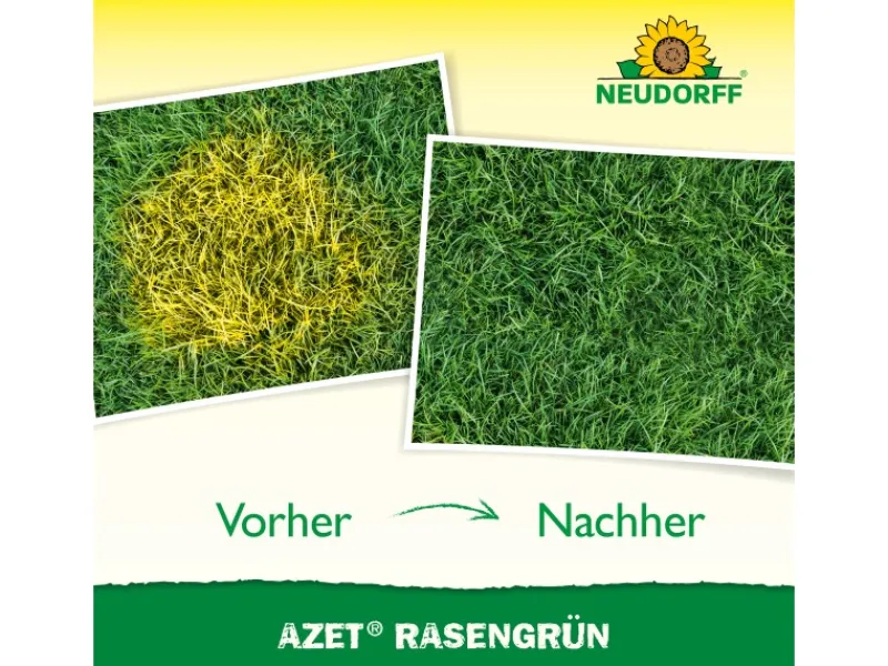 Neudorff Rasenwalze|Gartenwalze|Eisendünger Azet Rasengrün 250 ml