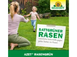 Neudorff Rasenwalze|Gartenwalze|Eisendünger Azet Rasengrün 250 ml