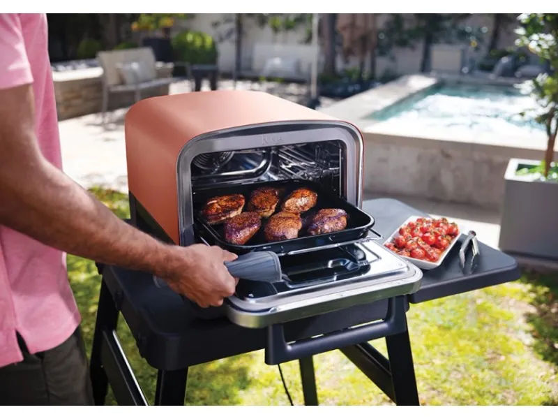 Ninja Smoker|Elektrogrills|Elektrischer-Pizzaofen & Smoker Outdoor OO101DE