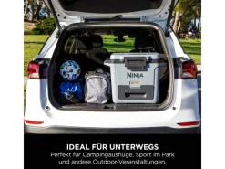 Kühlbox FrostVault FB131EUGY mit Trockenzone Schiefergrau 28 l*Ninja Online