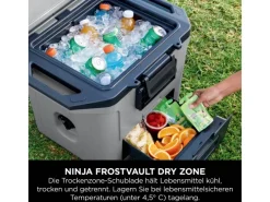 Kühlbox FrostVault FB131EUGY mit Trockenzone Schiefergrau 28 l*Ninja Online