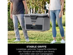 Kühlbox FrostVault FB151EUGY mit Trockenzone Schiefergrau 47 l*Ninja