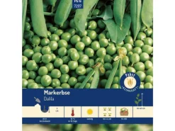 Markerbse Spät & Niedrig Dalila Saatgut*Pabst Keimkraft Hot