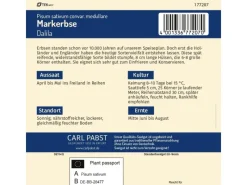 Markerbse Spät & Niedrig Dalila Saatgut*Pabst Keimkraft Hot
