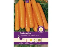 Speisemöhre Spät & Lang Lange Rote Stumpfe Ohne Herz 2 Saatgut*Pabst Keimkraft Hot