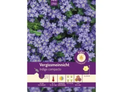 Vergißmeinnicht Indigo Compacto Saatgut*Pabst Keimkraft Outlet