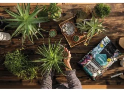 Pflanzsubstrat ® Basicpon 6 Liter für sensible Pflanzen*Lechuza Hot