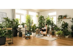 Pflanzsubstrat ®-Pon 3 Liter für Zimmerpflanzen*Lechuza New