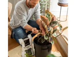 Pflanzsubstrat ®-Pon 3 Liter für Zimmerpflanzen*Lechuza New