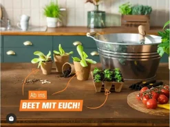 Proflora Hydrokultur|Kokosfaser Anzucht-Pflanztopf 0,05 l (50 Töpfe)