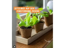 Proflora Hydrokultur|Kokosfaser Anzucht-Pflanztopf 0,05 l (50 Töpfe)