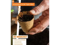 Proflora Hydrokultur|Kokosfaser Anzucht-Pflanztopf 0,05 l (50 Töpfe)