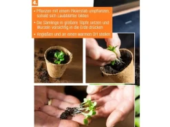 Proflora Hydrokultur|Kokosfaser Anzucht-Pflanztopf 0,05 l (50 Töpfe)