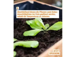 Proflora Hydrokultur|Kokosfaser Anzucht-Pflanztopf 0,05 l (50 Töpfe)