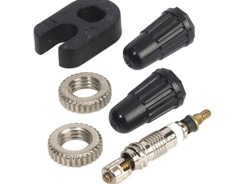 Sclaverand Ventileinsätze 2 Stück*Prophete