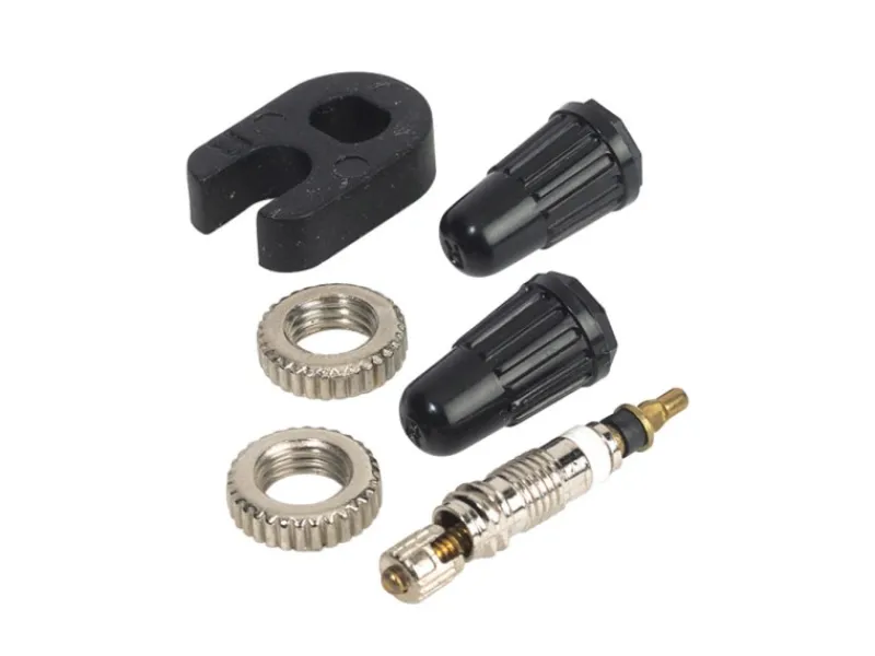 Sclaverand Ventileinsätze 2 Stück*Prophete