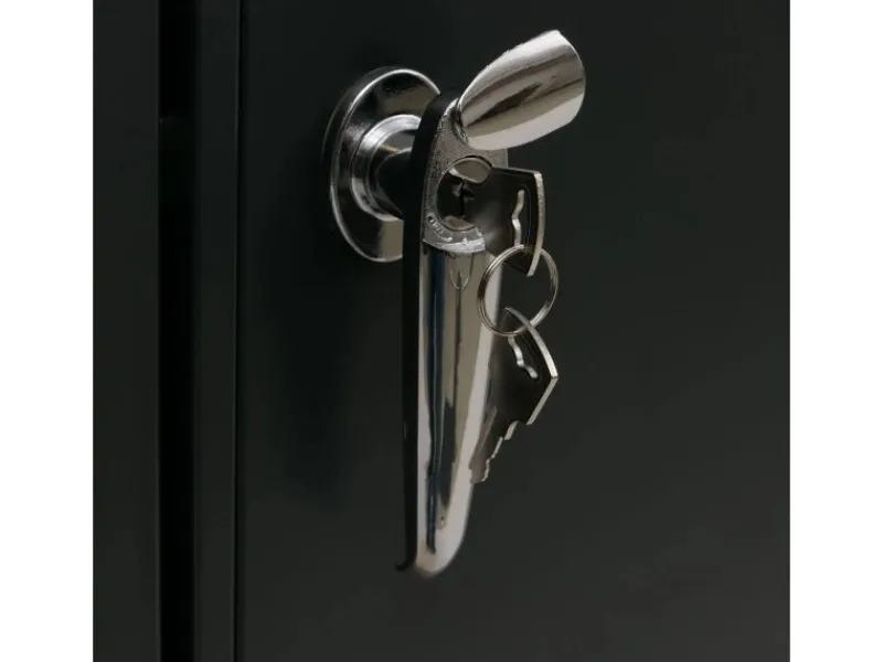 PROREGAL Weitere Ordnungssysteme Für Den Garten|4er-Mülltonnenverkleidung Mit Deckel HxBxT 122x250x84 cm Anthrazit Edelstahl Mülltonne 104kg