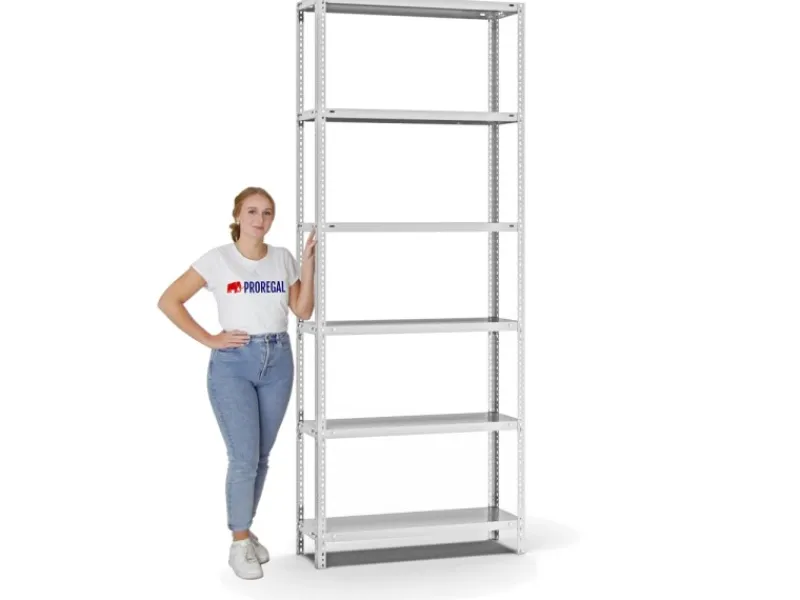Fachbodenregal Schraubsystem Medium-Duty Grundregal HxBxT 250 x 100 x 30 cm 6 Ebenen Fachlast 200 kg Beidseitig Nutzbar*PROREGAL Sale