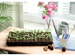 Kokos-Quelltabletten Coco Plug Tray 52 cm x 33 cm x 3 cm*Romberg Hot