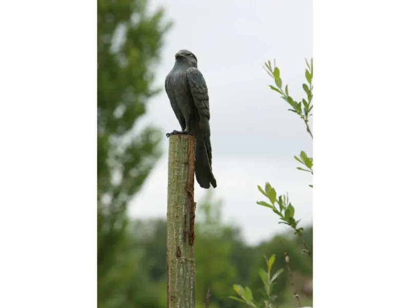 Bronze-Skulptur Turmfalke*Rottenecker Online