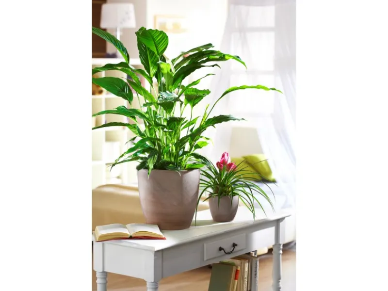 Übertopf 920 Ø 28 cm Earth*Scheurich Best