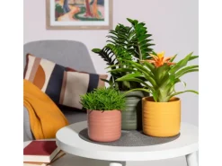 Scheurich Hydrokultur|Übertopf Cottage 850 Ø 20 cm x 17,9 cm