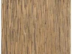 Schilfrohrmatte 180 cm x 600 cm* Outlet