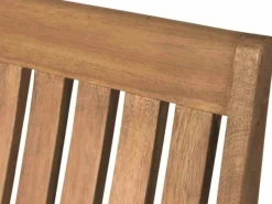 Siena Garden Gartenstühle|Klappsessel Paleros 70 cm x 60 cm x 113 cm FSC®