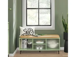 SoBuy Sitzkissen|Schuhbank mit Sitzfläche und Schiebetüren MDF Glas Grün FSR115-GR