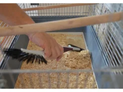 Rasenmäherbürste*Sonneck Sale