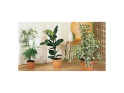 Weitere Gartenhelfer|Topfpflanzstab 50 cm 10 Stück