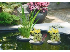 Pflanzkörbe Floating Plant Island rund 35 cm*Velda Clearance