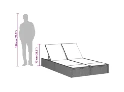 vidaXL Doppel-Sonnenliege mit Kissen Poly-Rattan 368636* Online