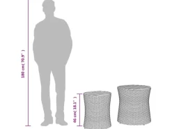 Gartentische|vidaXL Garten-Beistelltische 2 Stk mit Holzplatte Poly Rattan 366288