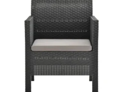 vidaXL Gartenstuhl mit Kissen PP Rattan Anthrazit* Clearance