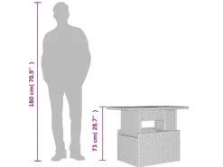 Gartentische|vidaXL Gartentisch mit Glasplatte 100x55x73 cm Poly Rattan 366208
