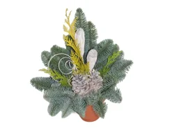 Waldtopf Nobilis Topf Ø 12 cm Natur*