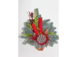 Waldtopf Nobilis Topf ca. 12 cm Rot* Hot