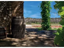 Waterform Regenwasser-Nutzung|Regentonne Botaqua 250 l Braun